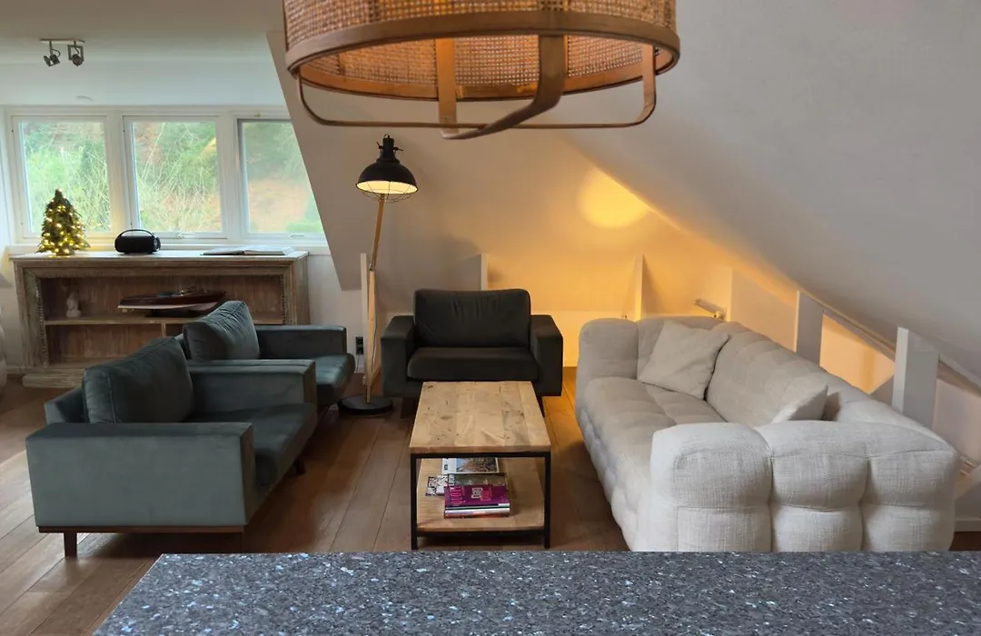 Loft aan Zee Bergen-Schoorl Luxury Appartement-1