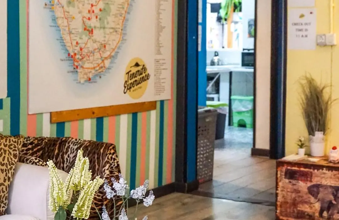Tenerife Experience Hostel-1