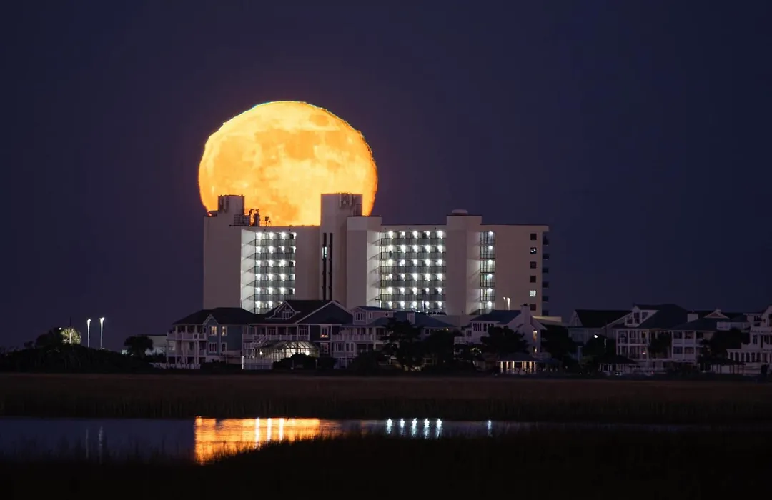 Shell Island Resort - All Oceanfront Suites-1