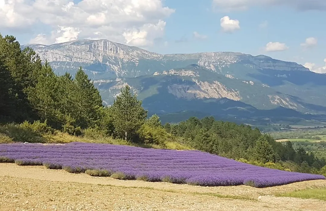 Le Glandasse-1