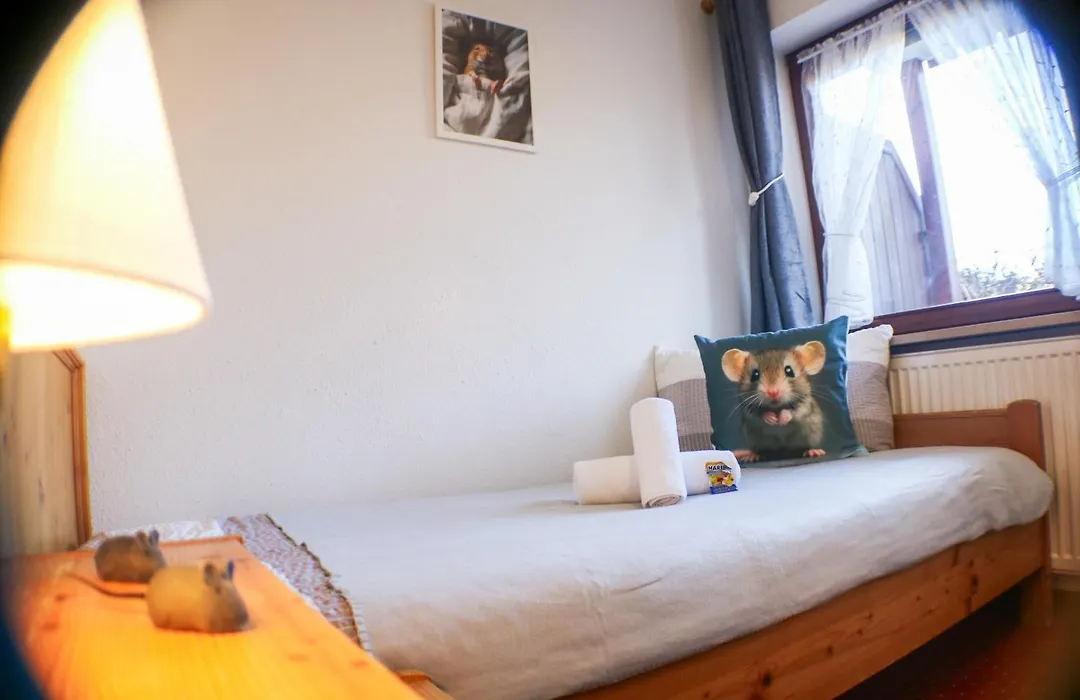 House Of Happiness By Apartmentglueck-1