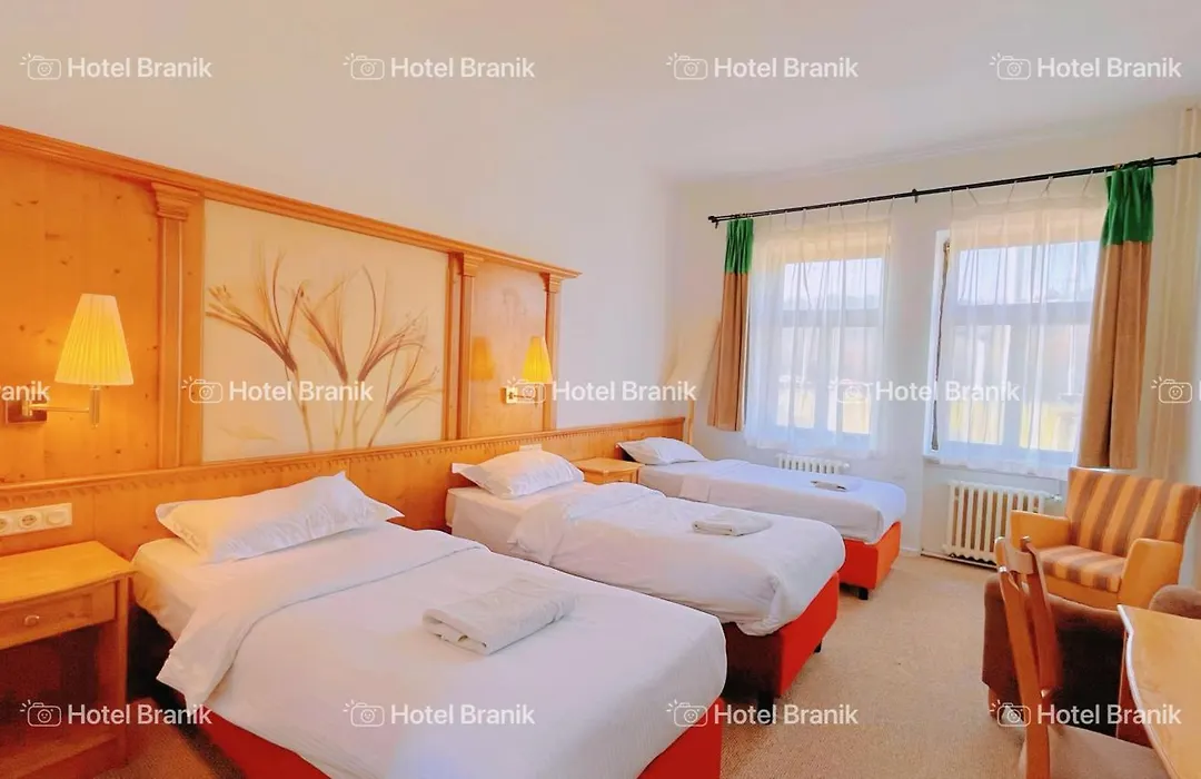 Hotel Branik-1