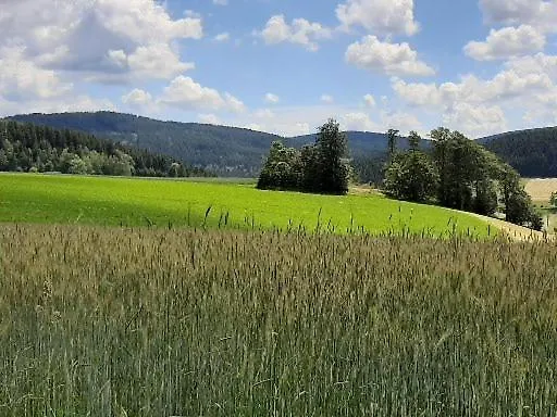 Landgasthof Neitsch-1
