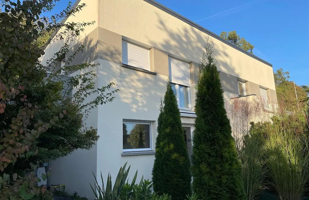 Les sapins verts -inspiration deluxe-1