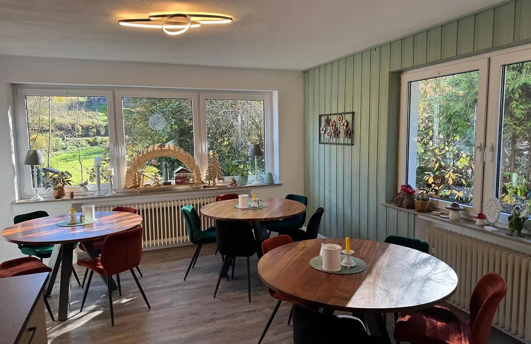 Landhaus am Itterbach Willingen-1