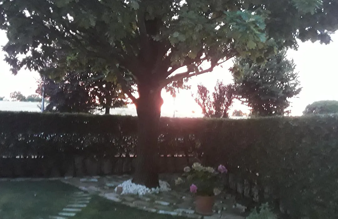 B&B La Rosa Gialla-1