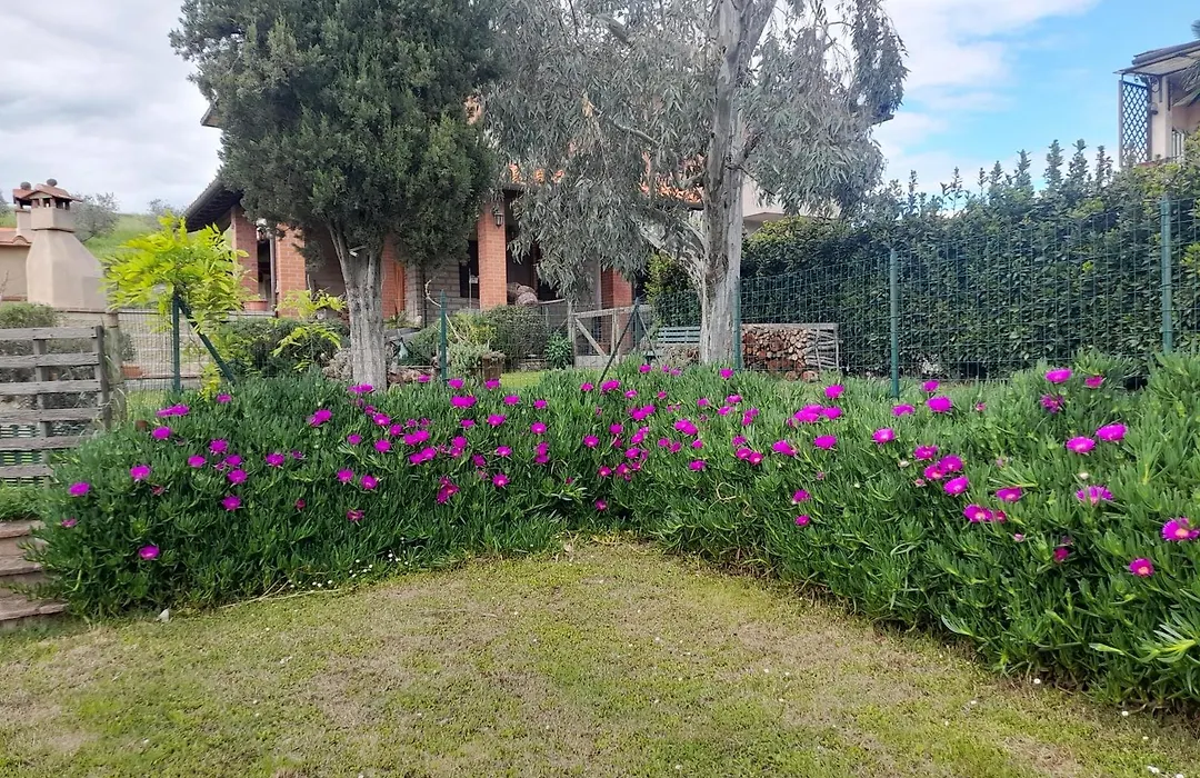 Agriturismo Santa Adriana-1
