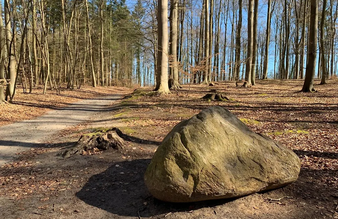 Pension zur Ostsee-1