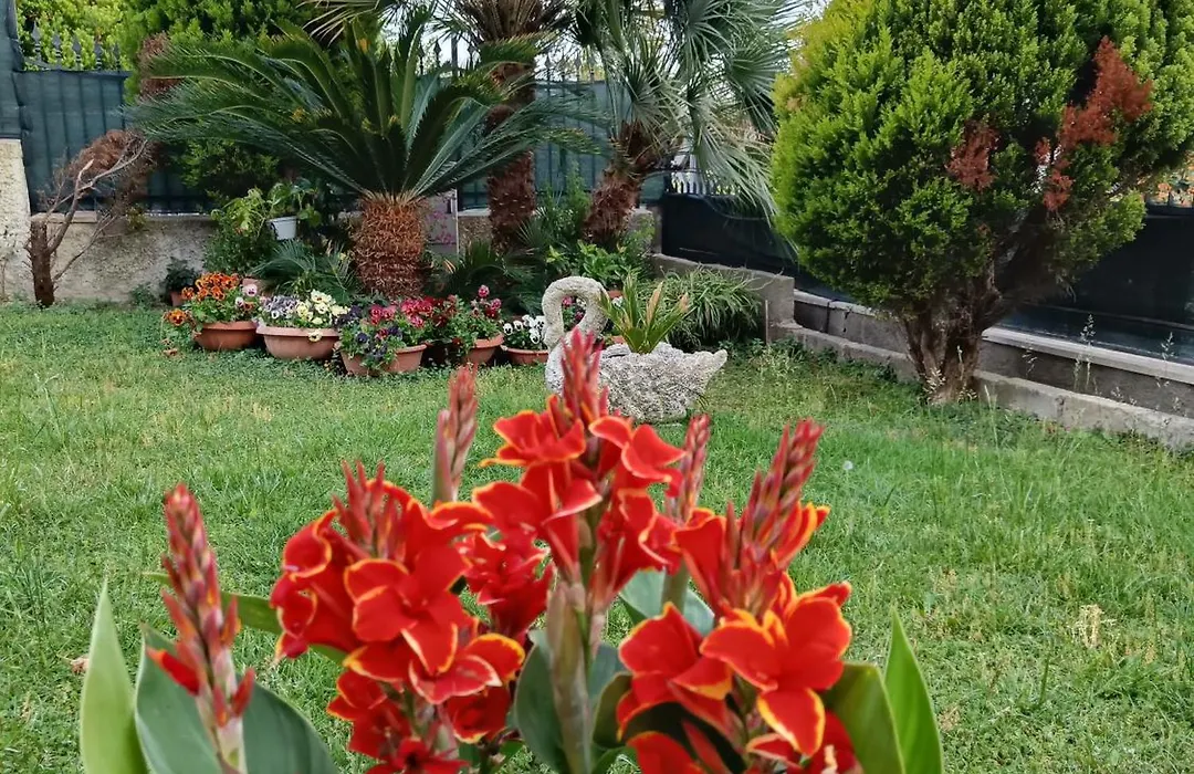 Bed&Breakfast Angolo Fiorito-1