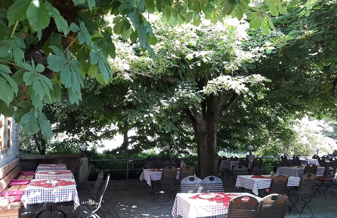 Gasthaus Auerhahn-1