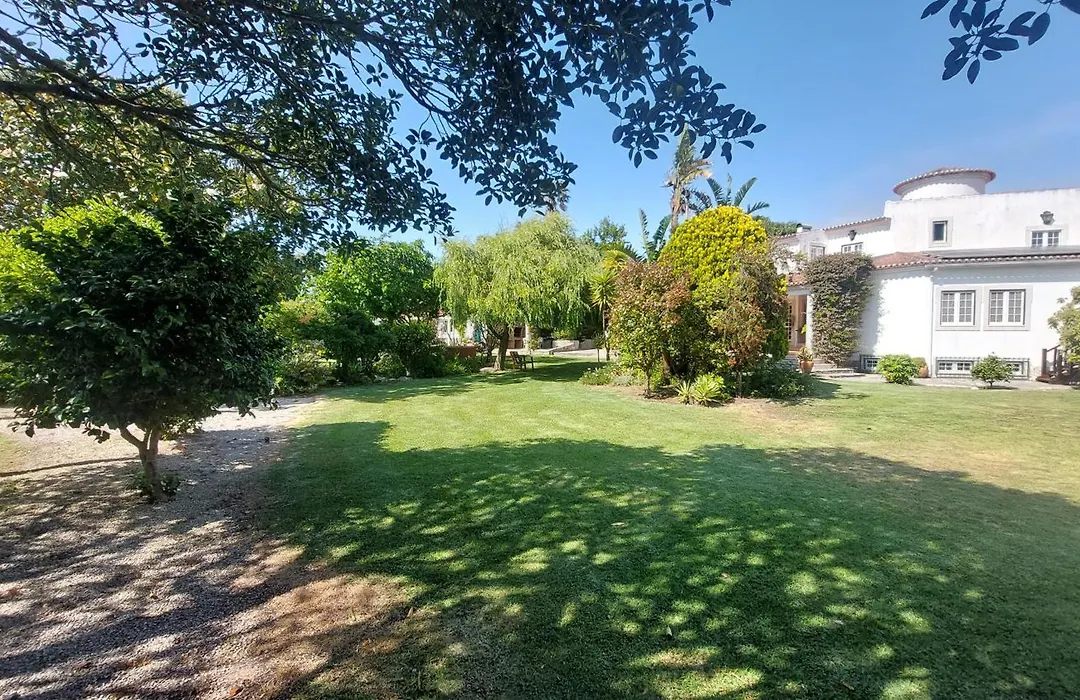 Vila Louro-1