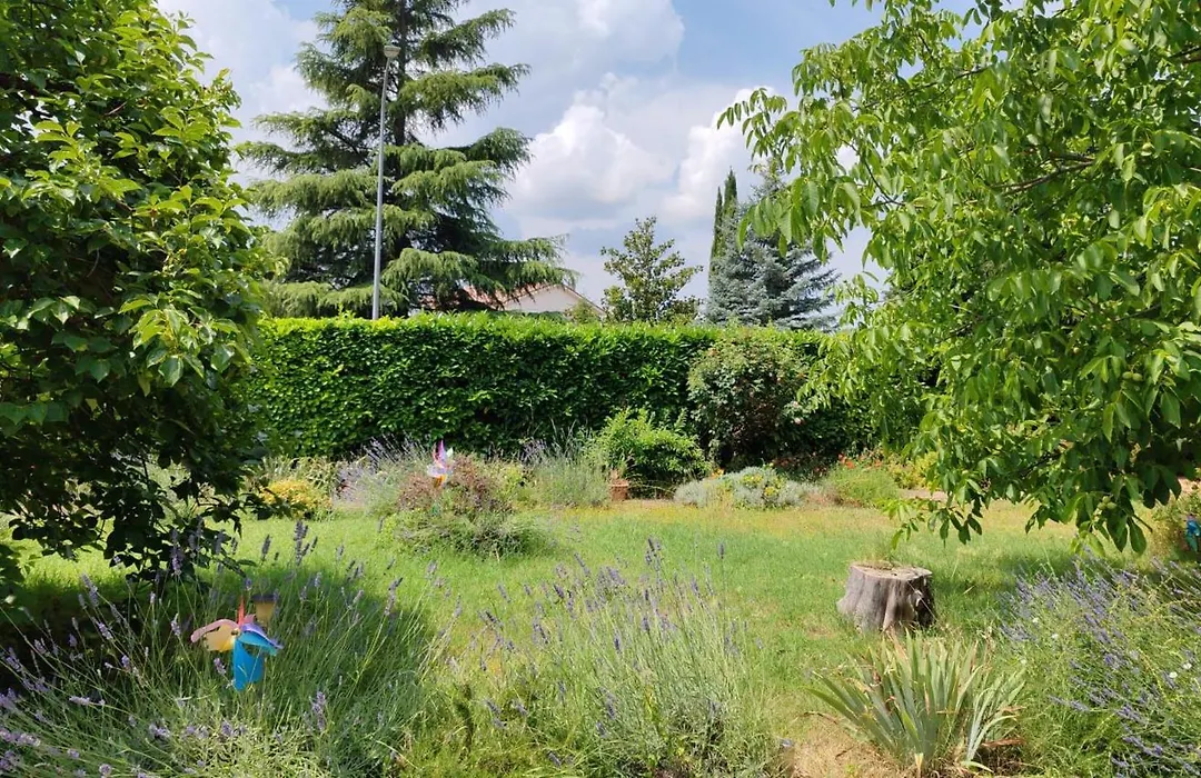 Stella Polare B&B-1