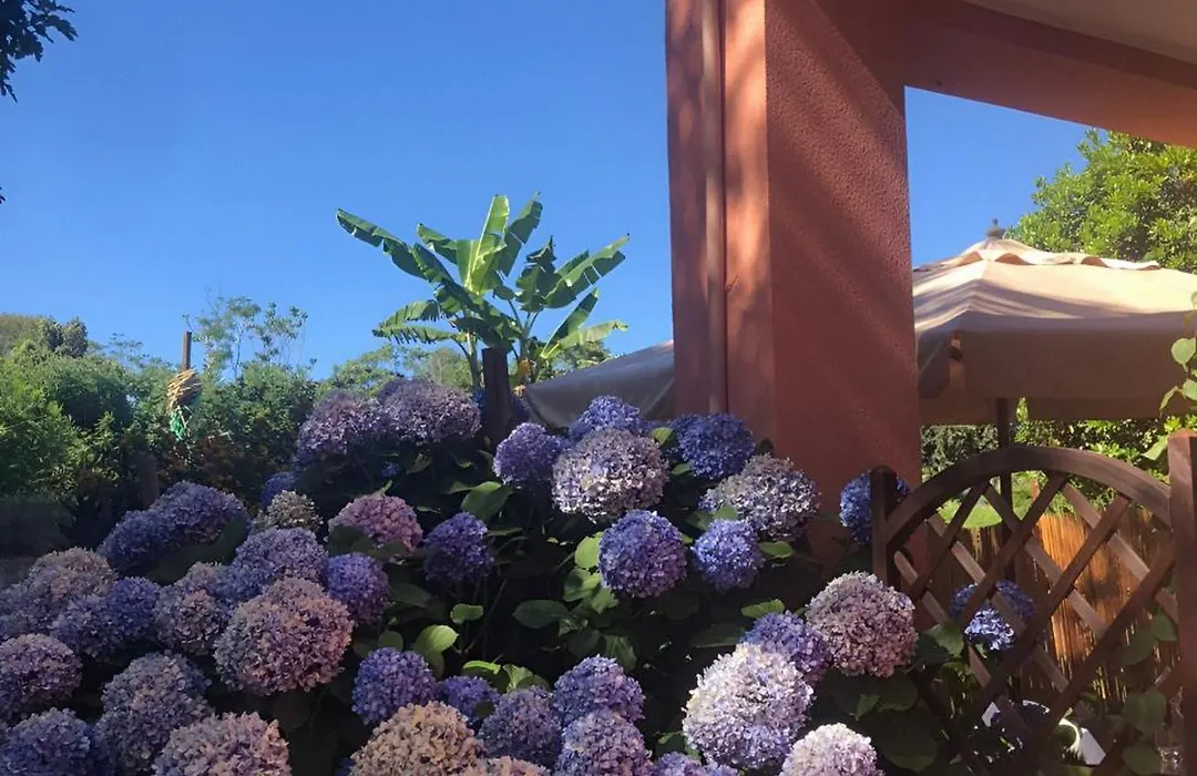 Sonnino B&B-1