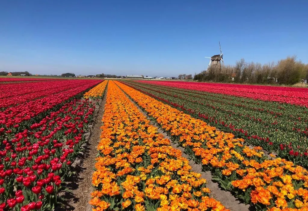 De Zwarte Ruiter-1