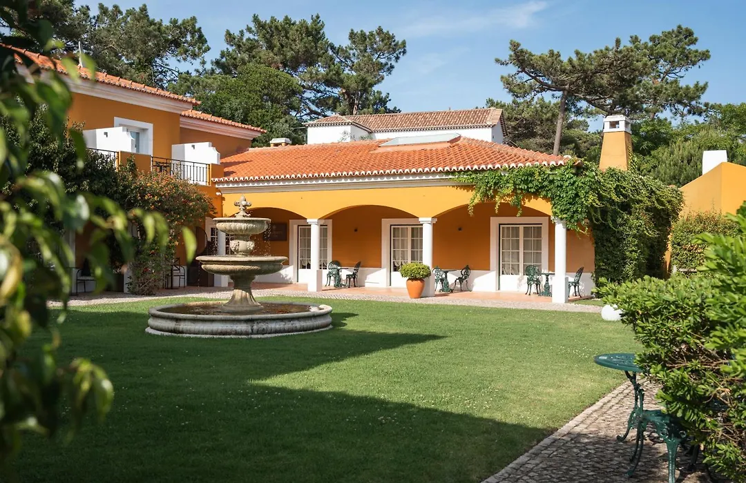 Longevity Senses - Cascais Boutique Hotel - Adults Only-1