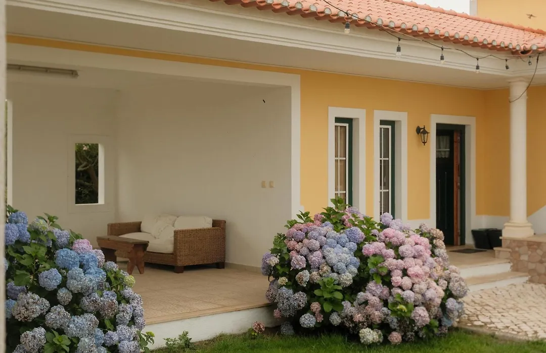 Quinta Amarela-1