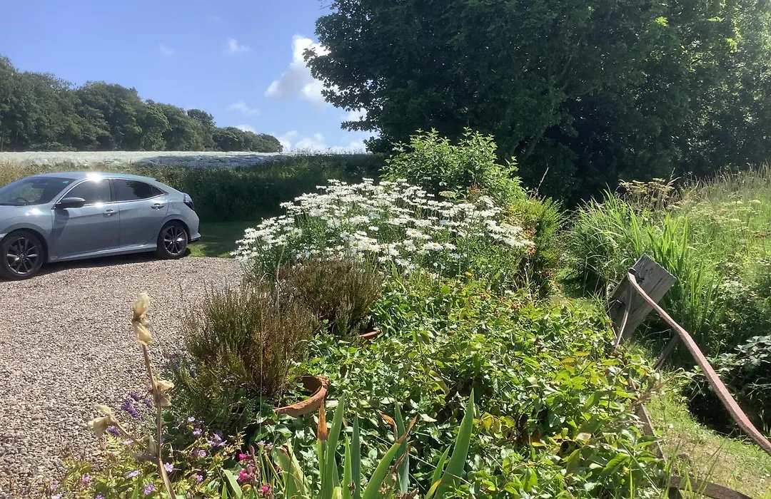 Balmungo Cottage B&B-1
