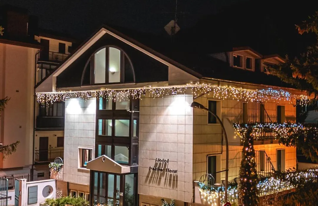 Hotel Petite Fleur-1
