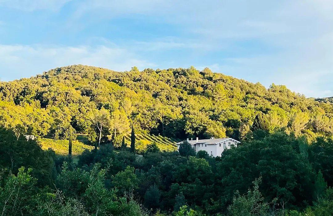 Agriturismo Tenuta Il Molino-1