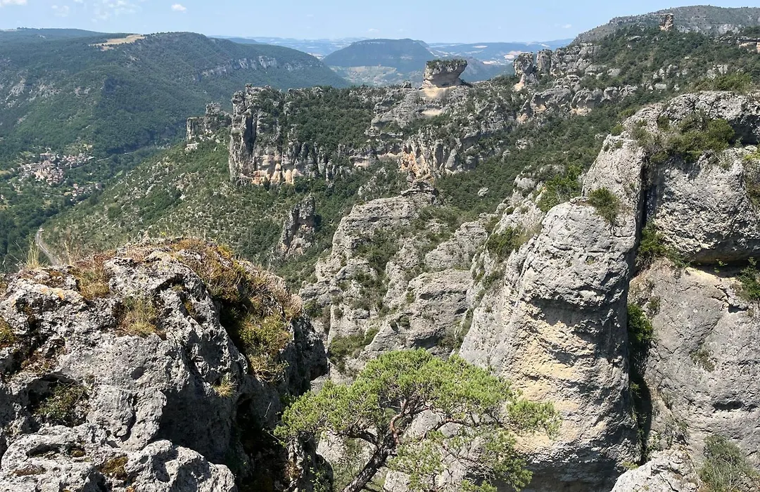 Domaine Aigoual Cevennes-1