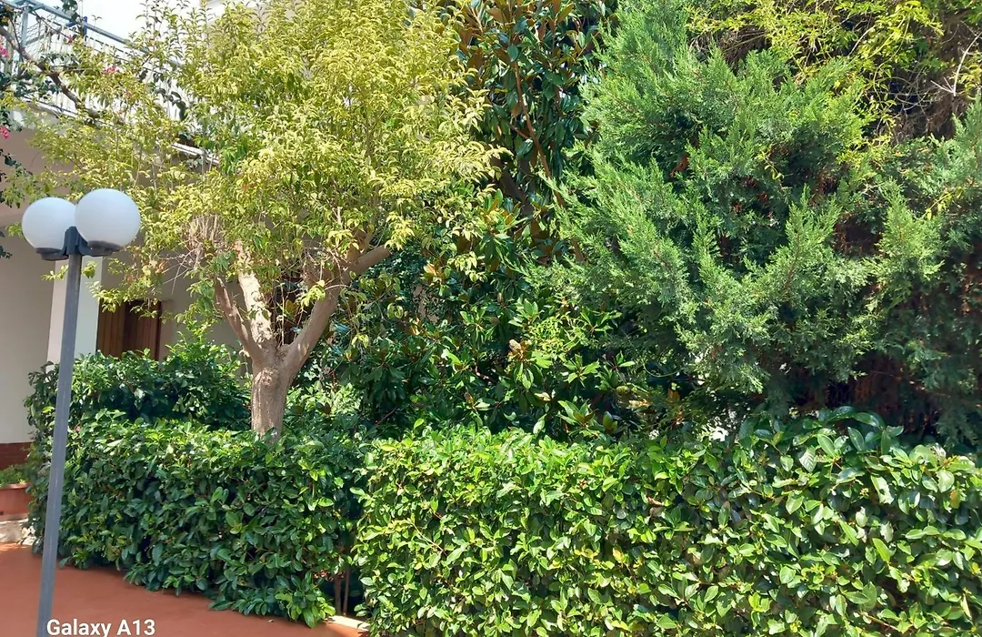 B&B La Magnolia-1