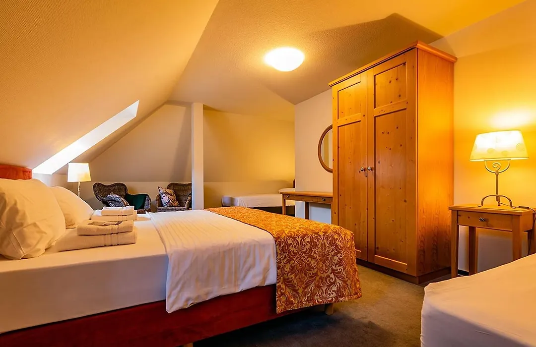 Apparthotel Bad Schandau By Steiger Hotels-1