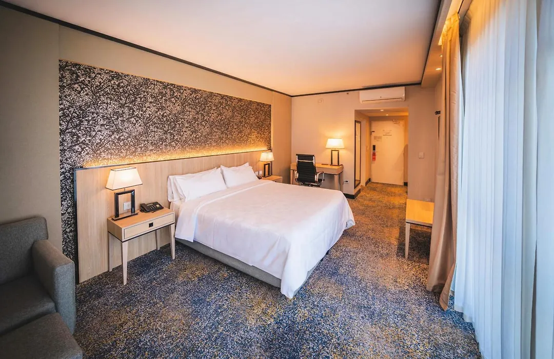 Holiday Inn Rosario By Ihg-1