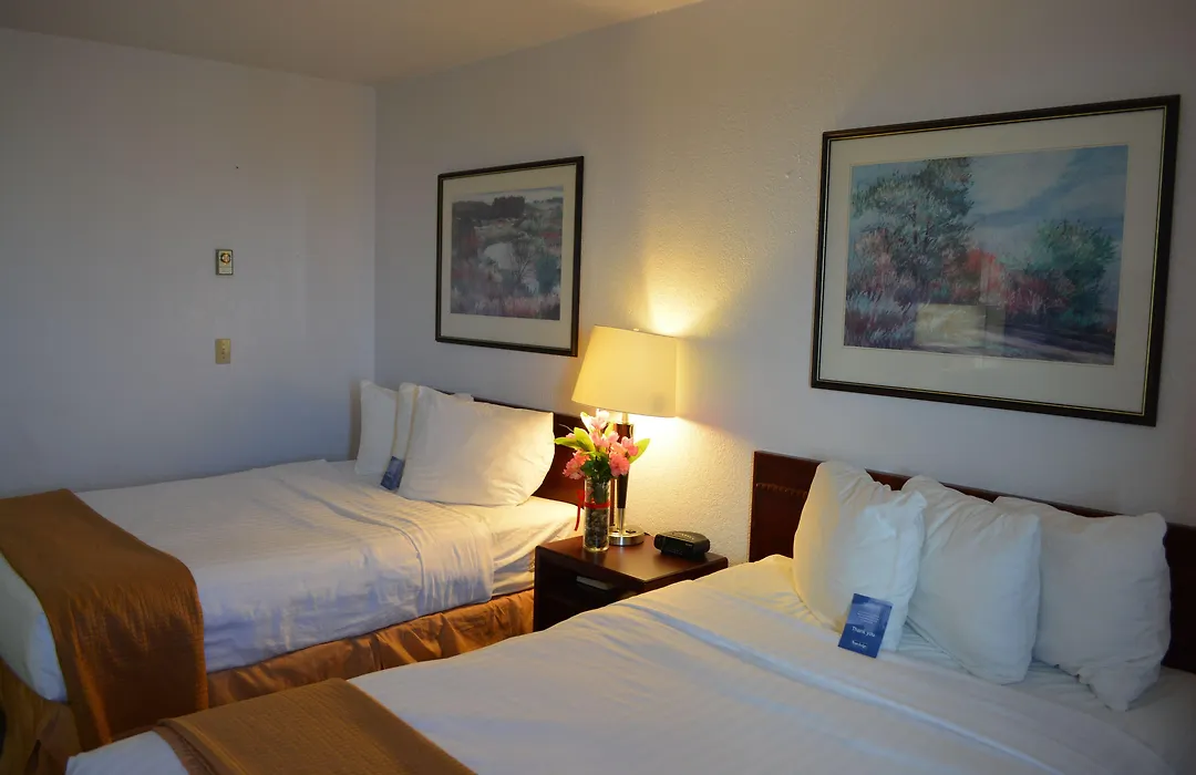 Emerald Hotel & Suites Calgary Airport-1