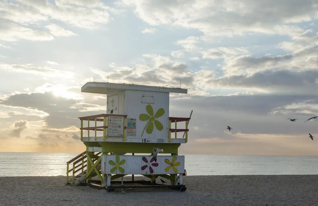 National Hotel, An Adult Only Oceanfront Resort-1