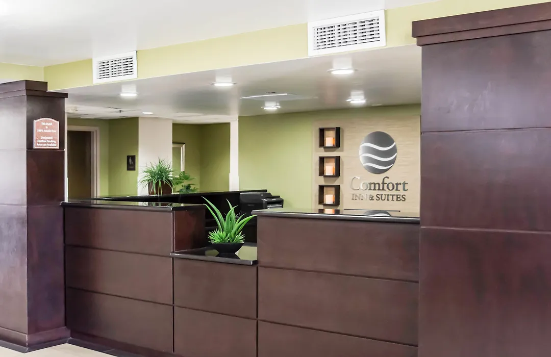 Comfort Inn & Suites St Pete - Clearwater International Airport-1
