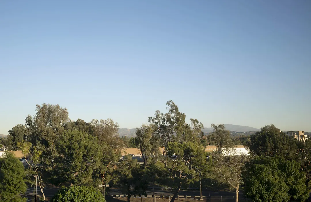 Fullerton Marriott At California State University-1