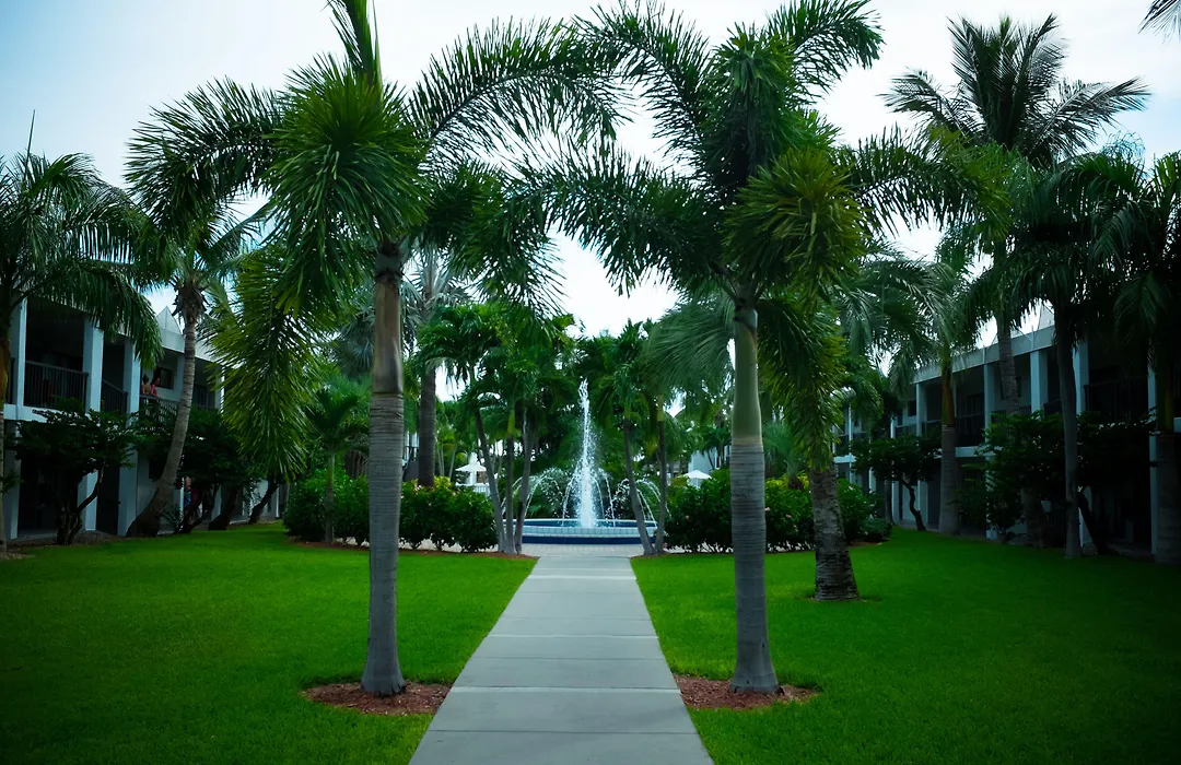 The Beachcomber St. Pete Beach Resort & Hotel-1