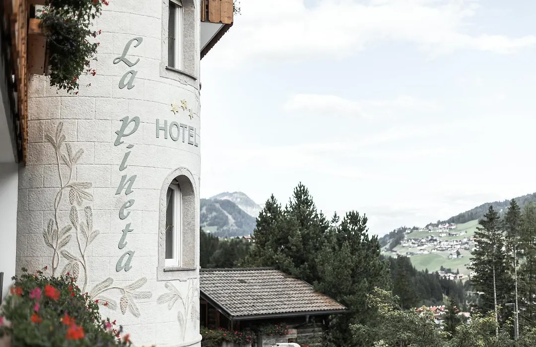 Hotel La Pineta-1