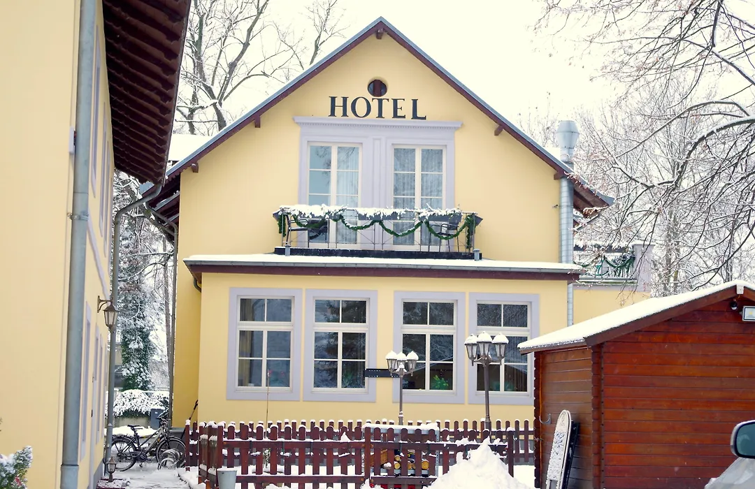 Hotel Alttolkewitzer Hof-1