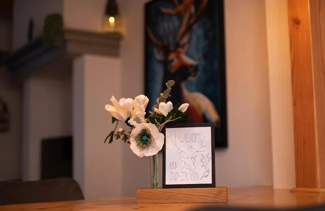 B&B Oud-Zilven-1