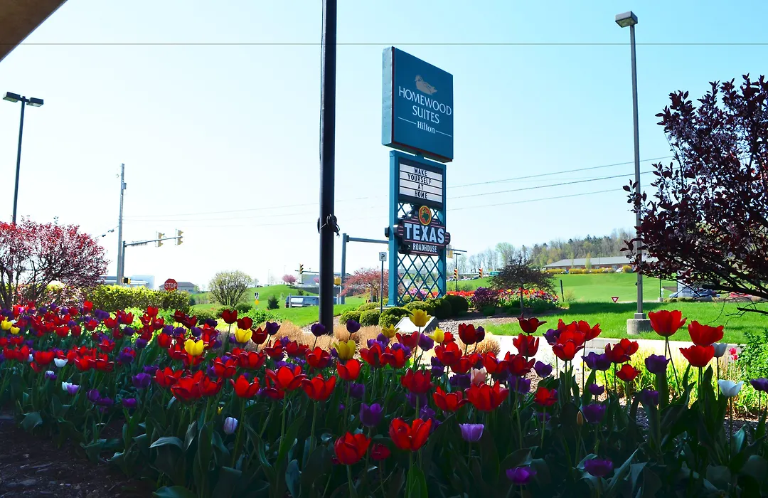 Homewood Suites By Hilton Reading-Wyomissing-1