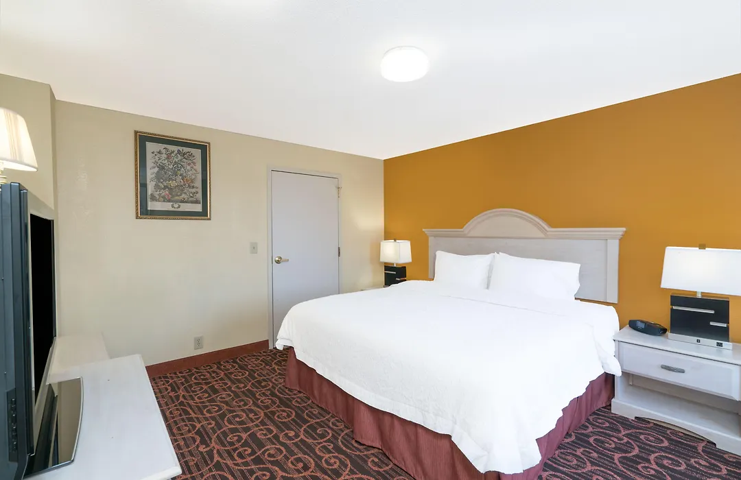 Hamilton Inn Birmingham-Bessemer-1