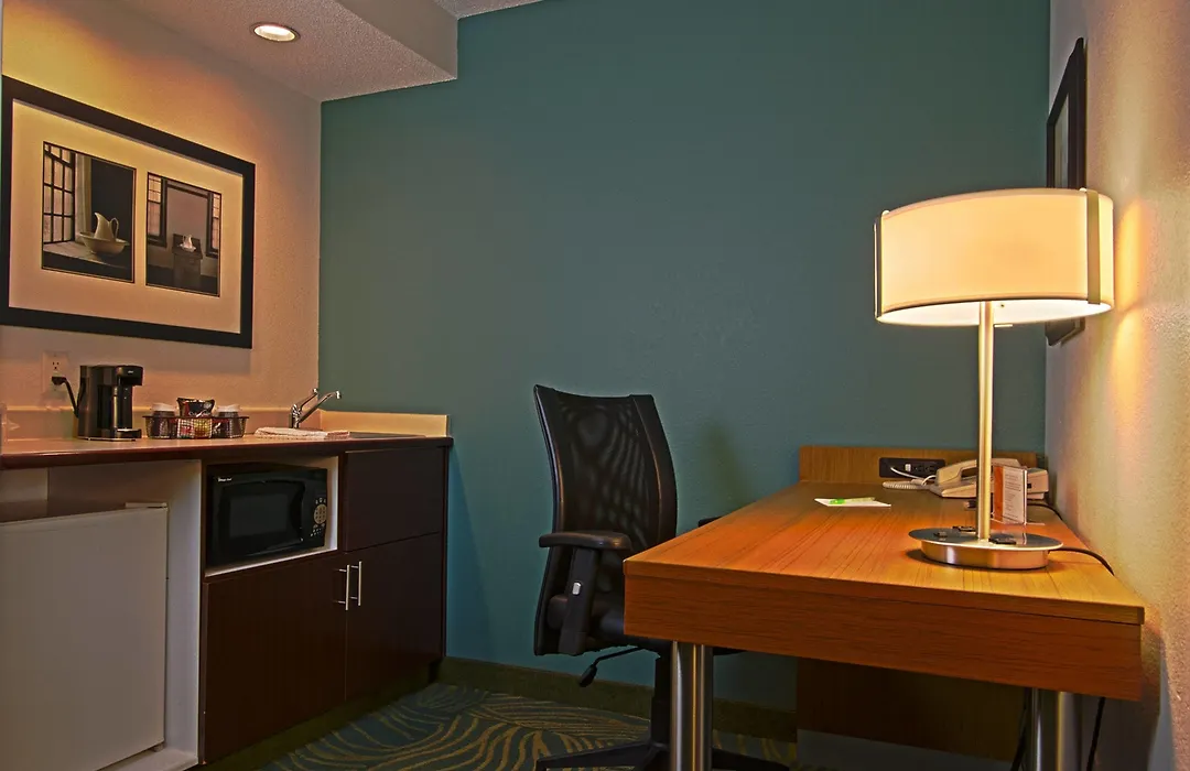 Springhill Suites By Marriott Hershey Near The Park-1