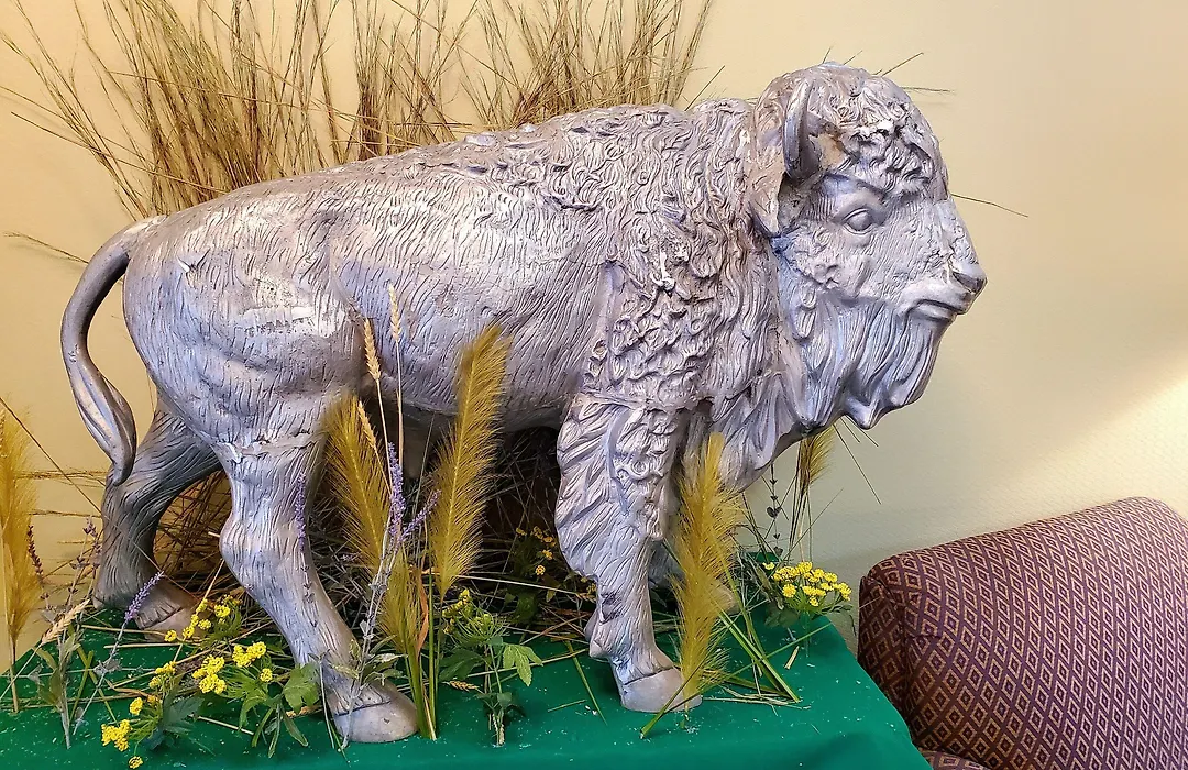 Bison Plains Lodge-1
