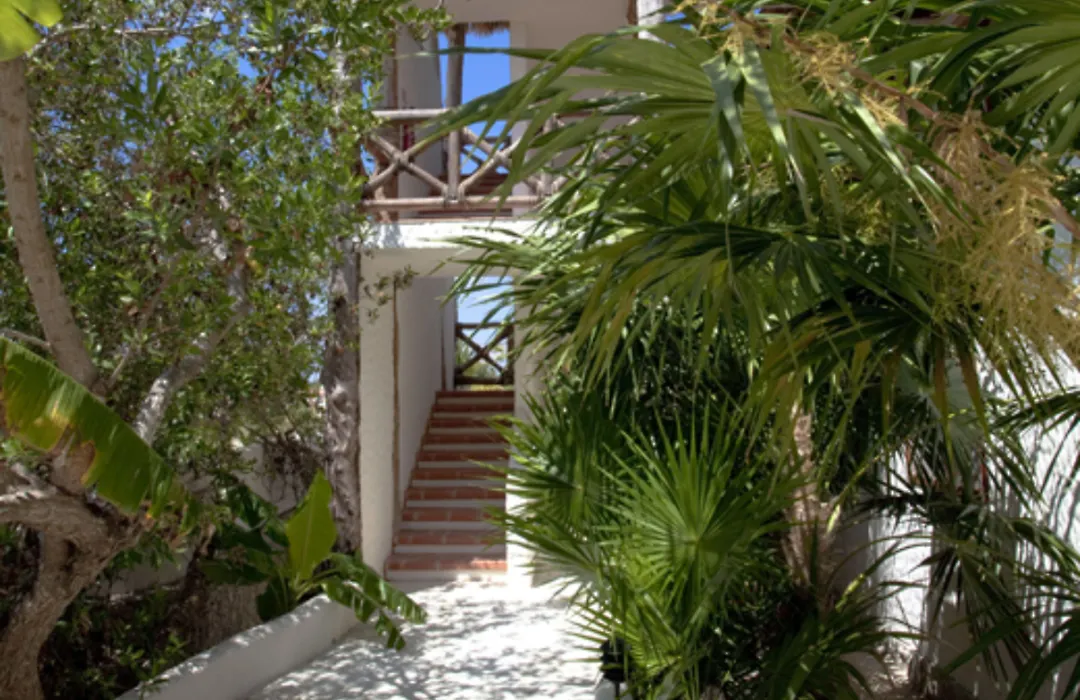 Holbox By Xaloc-1