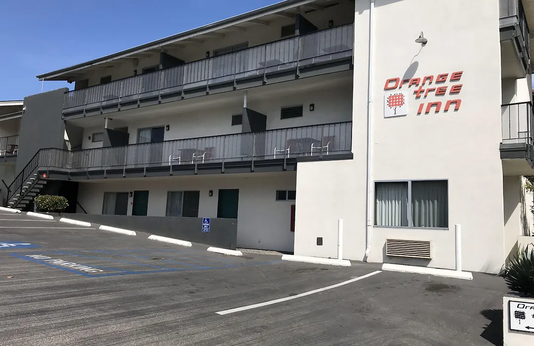 Orange Tree Inn-1