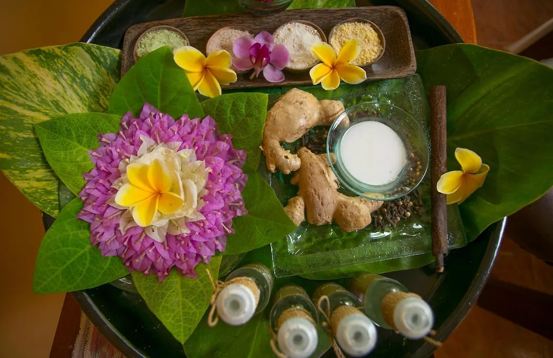 Parigata Resorts And Spa-1