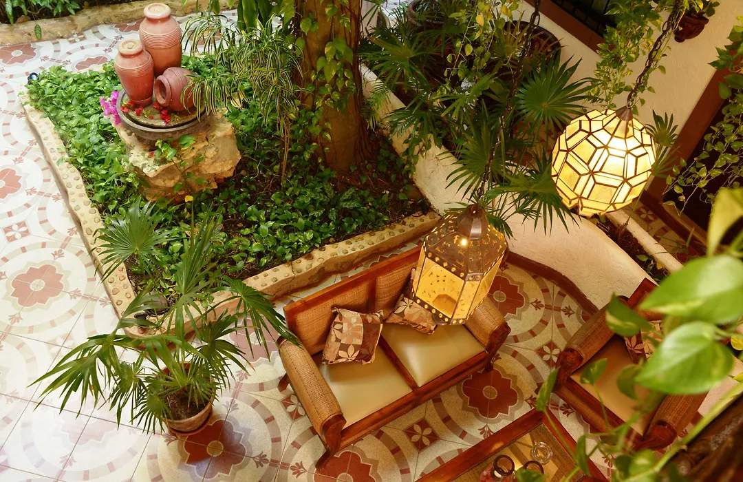 Posada Mariposa Boutique Hotel - 5Th Avenue-1