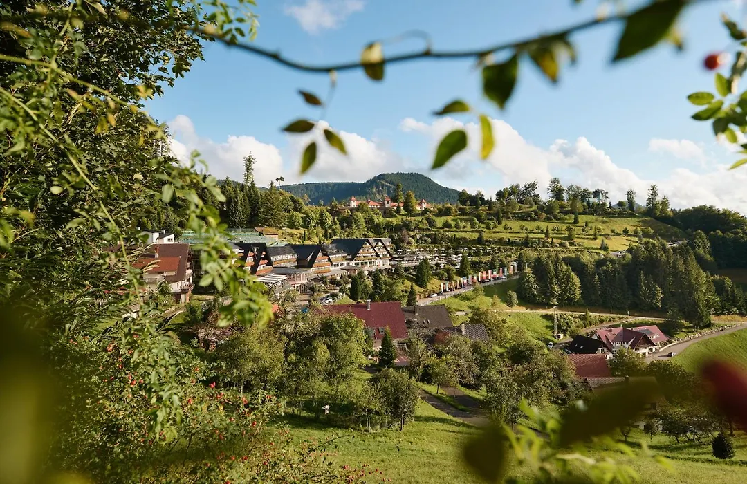Hotel Dollenberg-1