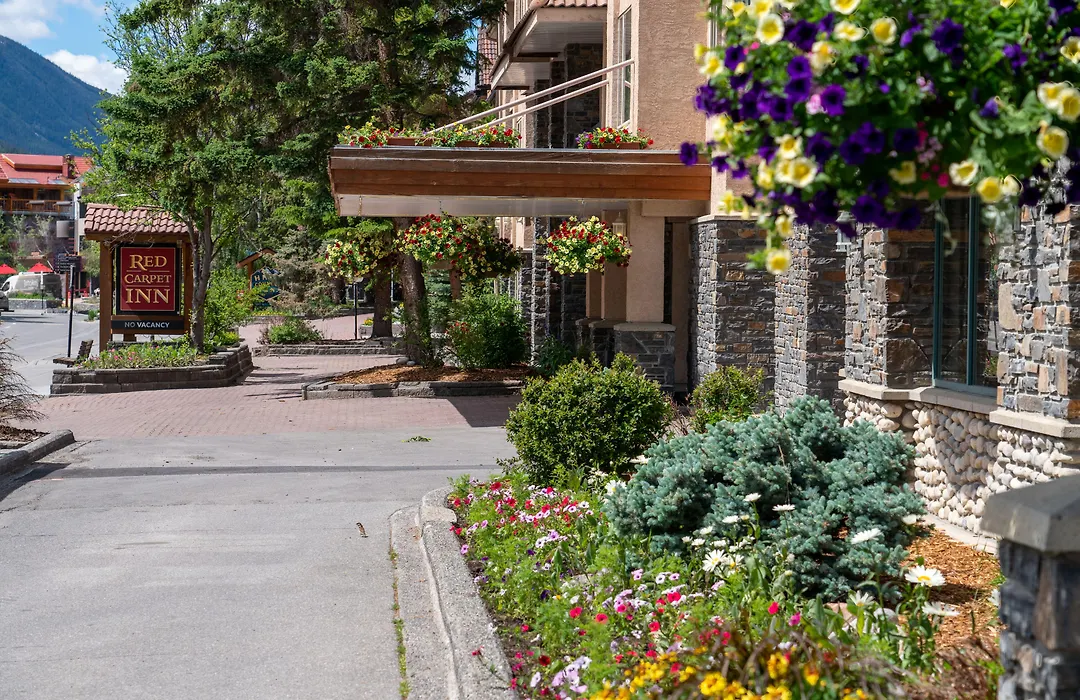 Red Carpet Inn-1