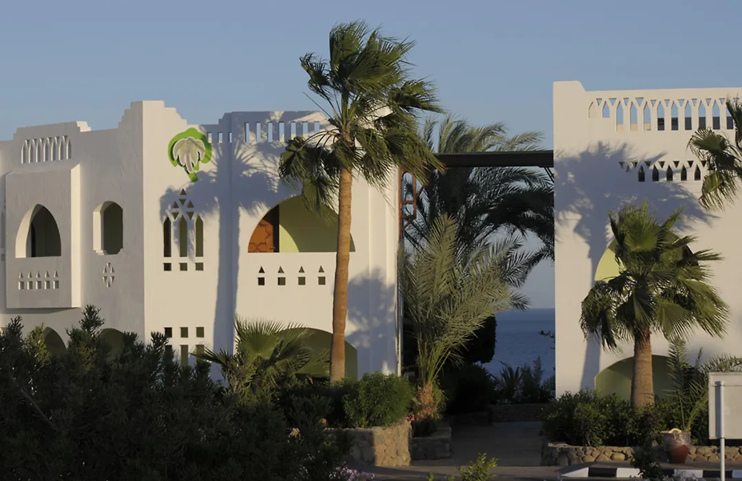 Domina Oasis Hotel & Resort-1