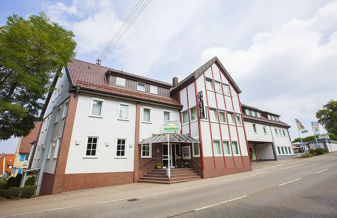 Hotel Waldhorn-1