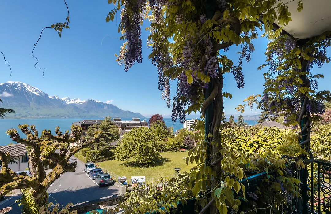 Swiss Historic Hotel Masson-1