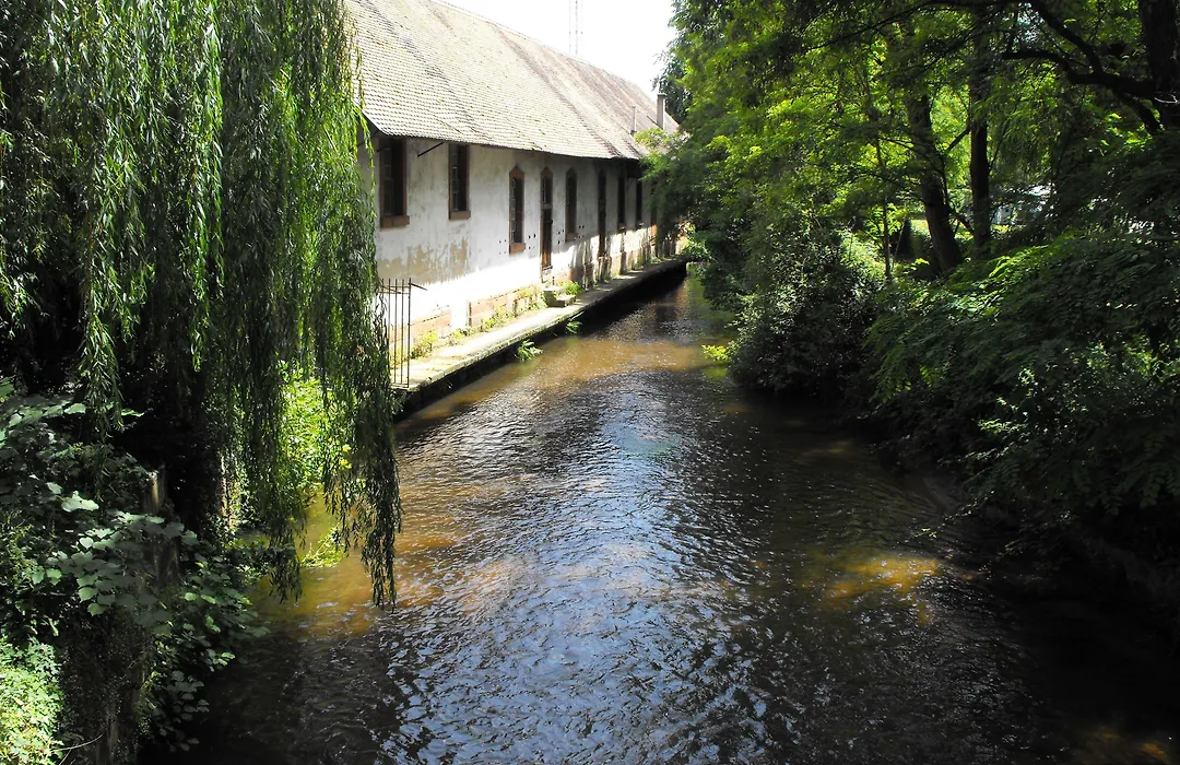 Hôtel d'Alsace-1
