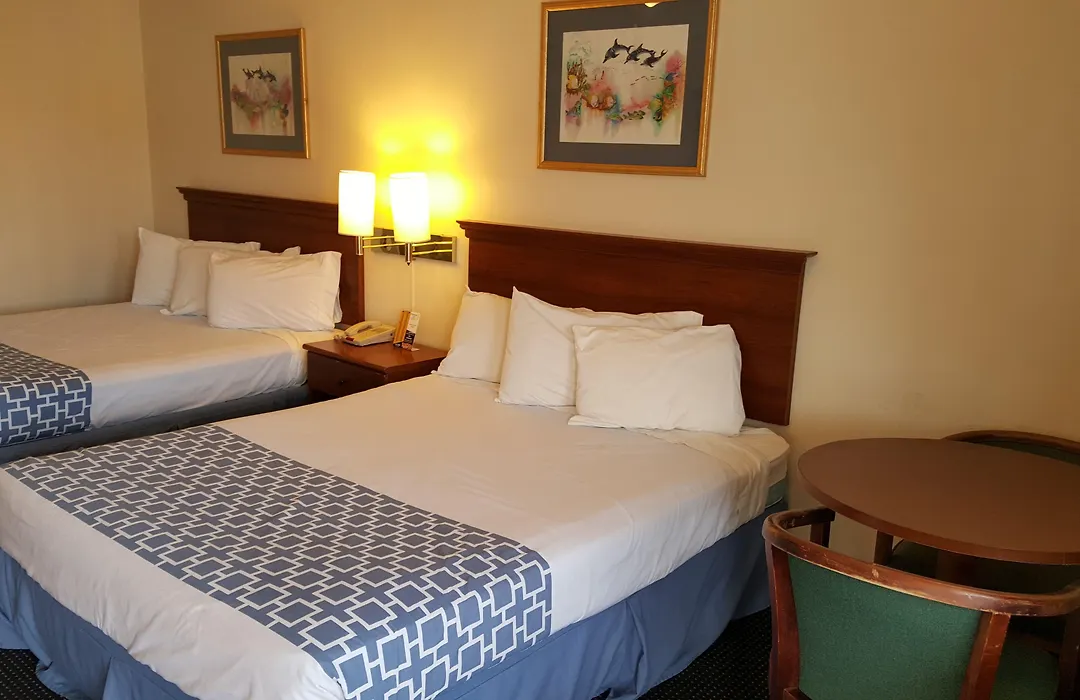 Flamingo Inn-1